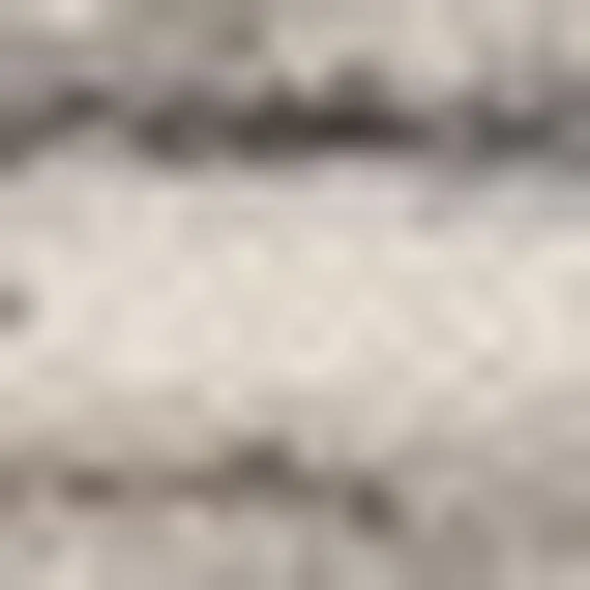 Cream Abstract Distressed Area Rug Photo 4