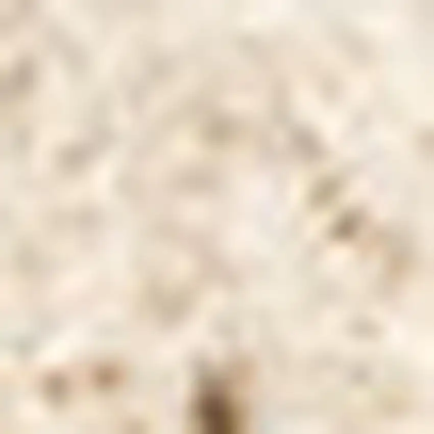 Cream And Beige Abstract Area Rug Photo 4