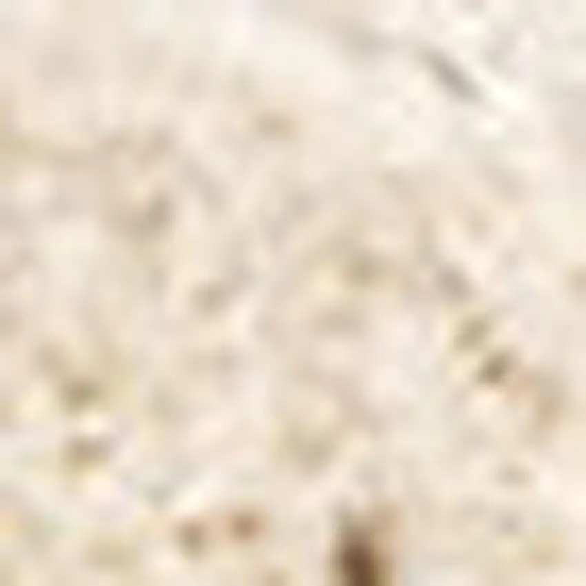 Cream And Beige Abstract Area Rug Photo 5