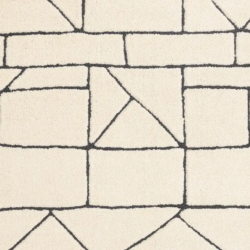Cream And Black Geometric Area Rug Photo 4