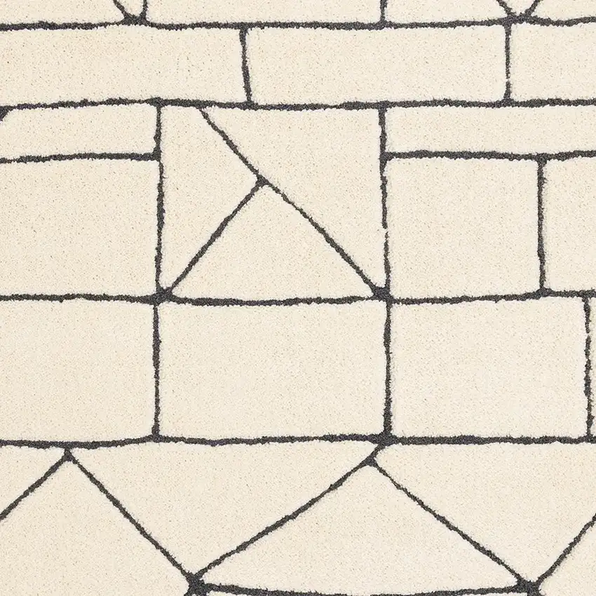 Cream And Black Geometric Area Rug Photo 4