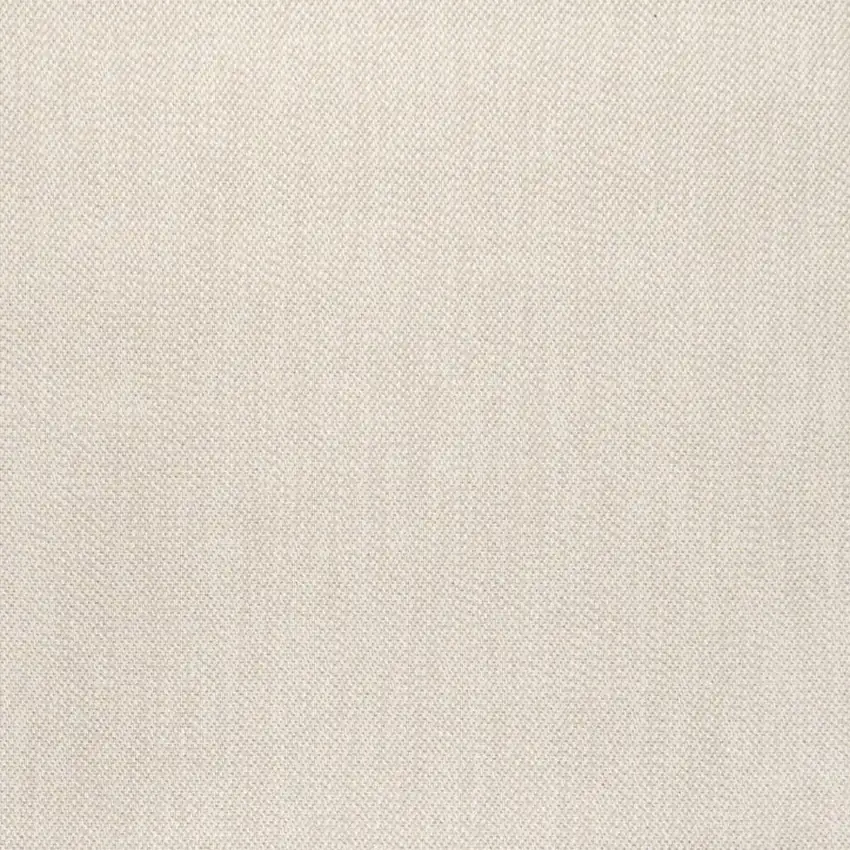 Cream And Black Indoor Outdoor Area Rug Photo 2