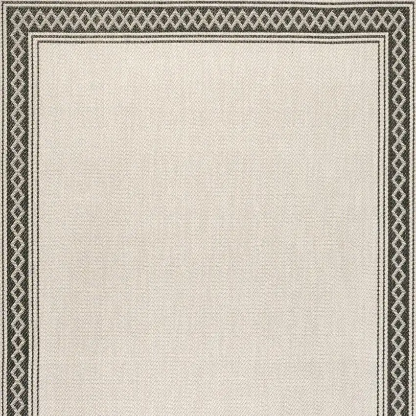 Cream And Black Indoor Outdoor Area Rug Photo 3