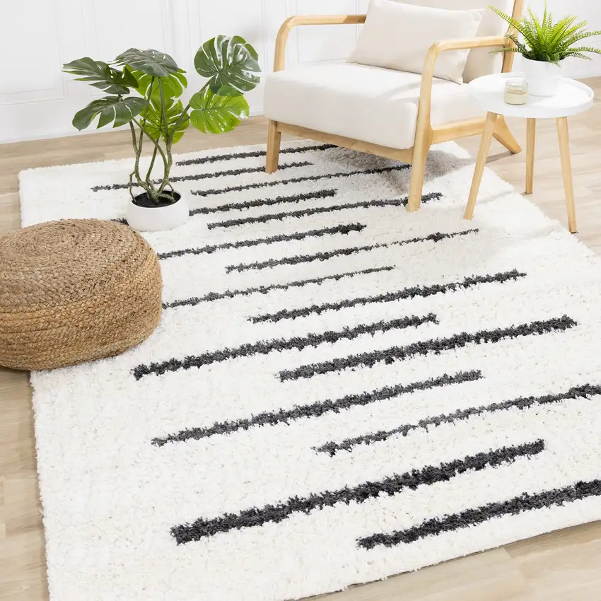 Cream And Black Striped Area Rug Photo 5