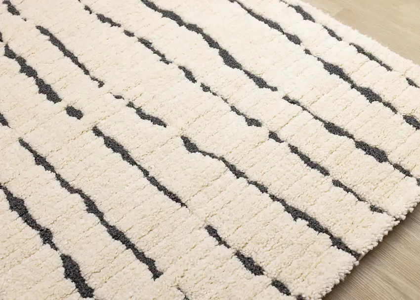 Cream And Black Striped Area Rug Photo 6