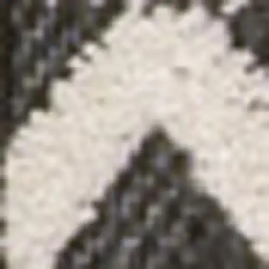 Cream And Black Trellis Indoor Outdoor Area Rug Photo 2