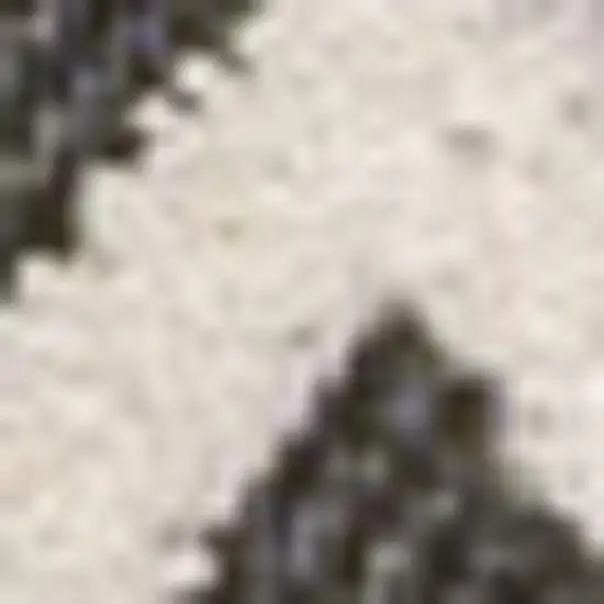 Cream And Black Trellis Indoor Outdoor Area Rug Photo 2