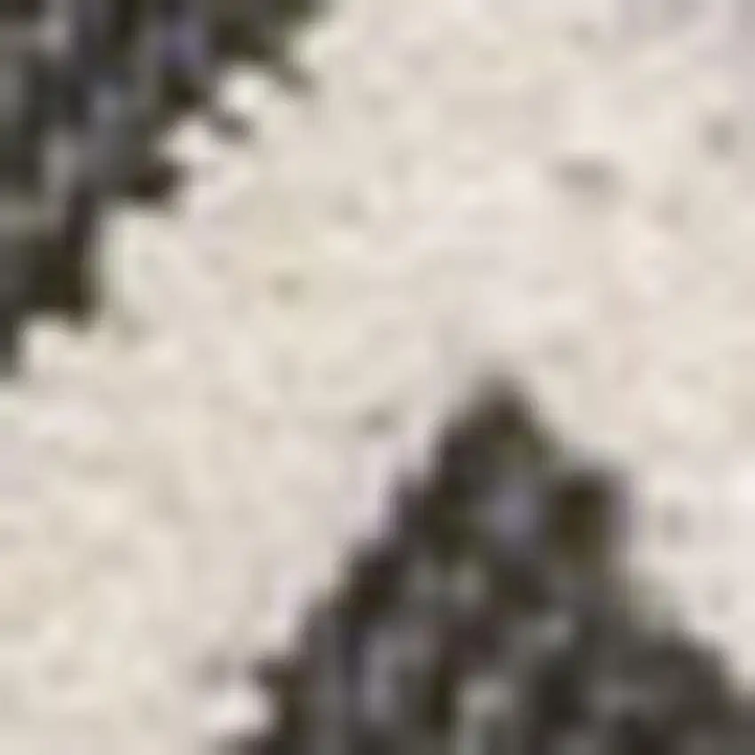 Cream And Black Trellis Indoor Outdoor Area Rug Photo 2