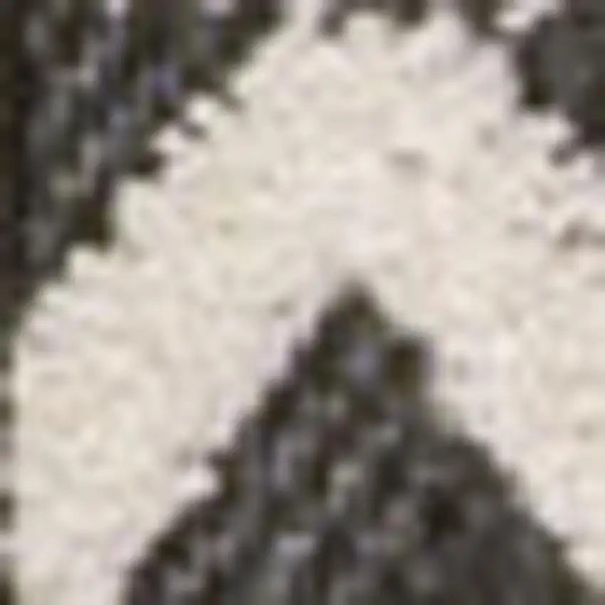 Cream And Black Trellis Indoor Outdoor Area Rug Photo 3