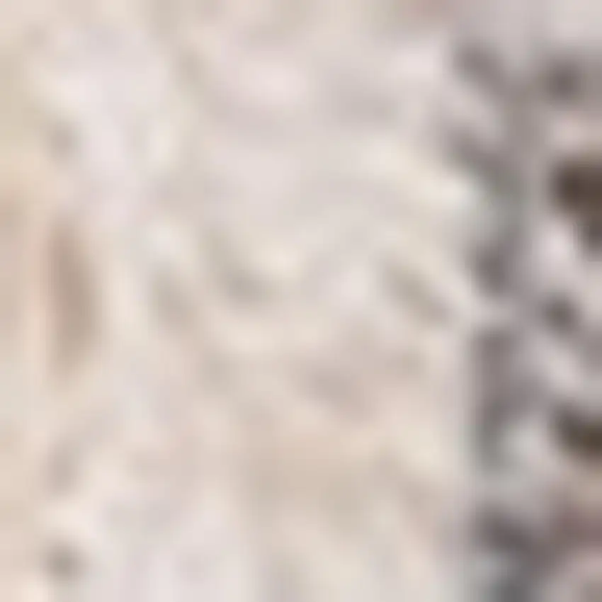 Cream And Blue Medallion Area Rug Photo 4