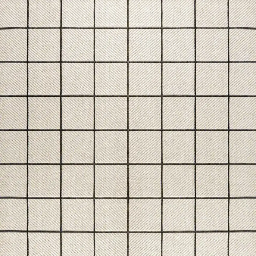 Cream And Dark Gray Plaid Indoor Outdoor Area Rug Photo 5