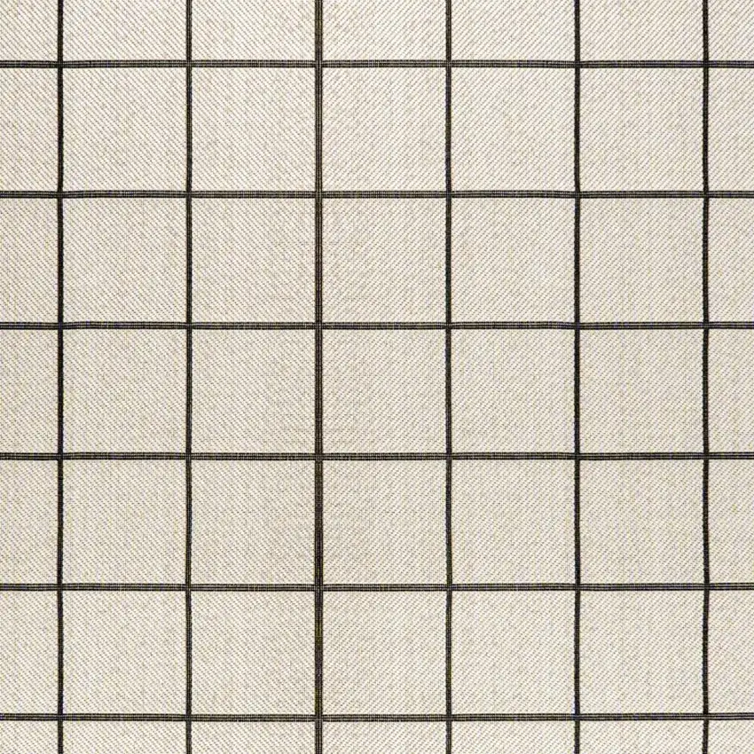 Cream And Dark Gray Plaid Indoor Outdoor Area Rug Photo 4