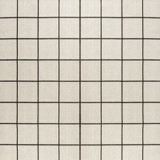 Cream And Dark Gray Plaid Indoor Outdoor Area Rug Photo 5