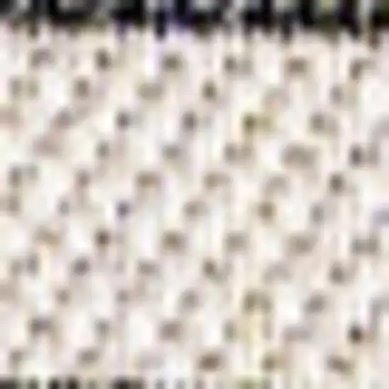 Cream And Dark Gray Striped Indoor Outdoor Area Rug Photo 2