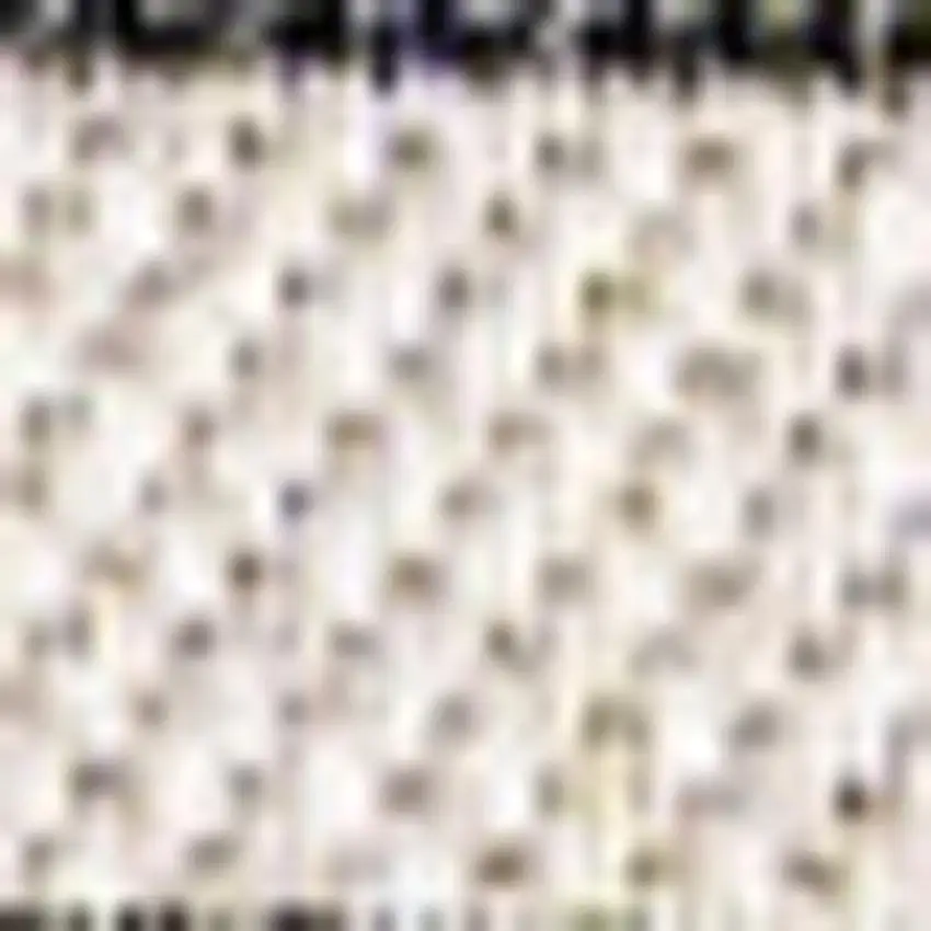 Cream And Dark Gray Striped Indoor Outdoor Area Rug Photo 2