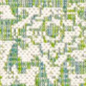 Photo of Cream And Green Medallion Indoor Outdoor Area Rug