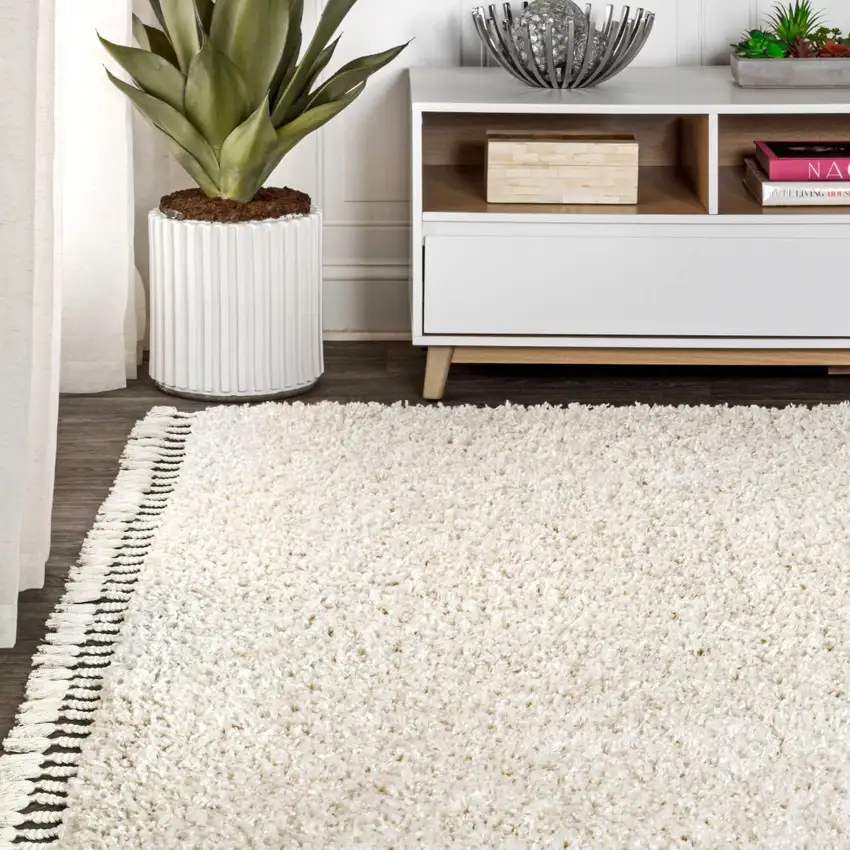Cream Area Rug With Fringe Photo 3