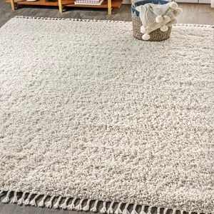 Photo of Cream Area Rug With Fringe