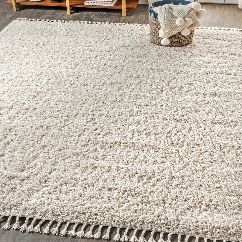 Cream Area Rug With Fringe Photo 1