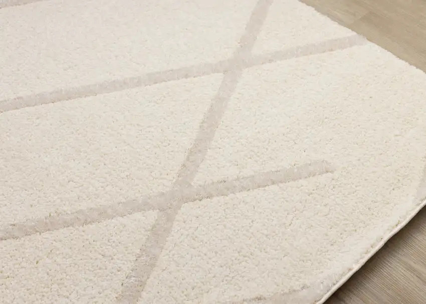 Cream Area Rug Photo 7