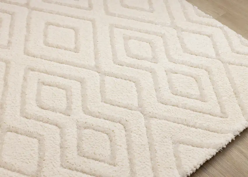 Cream Area Rug Photo 8