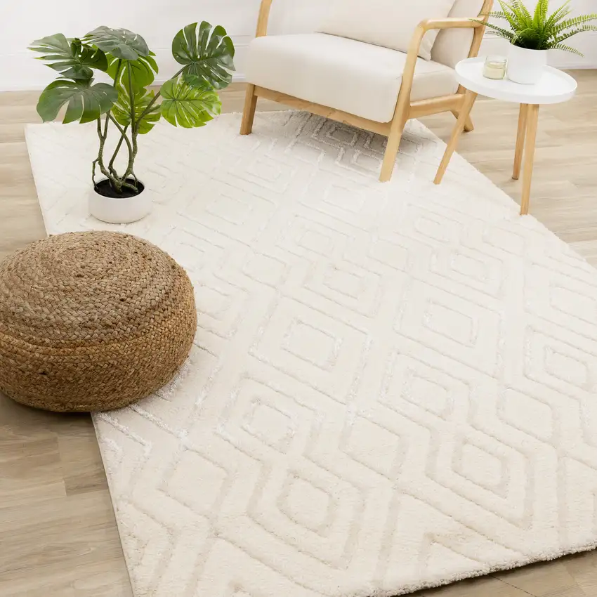 Cream Area Rug Photo 6