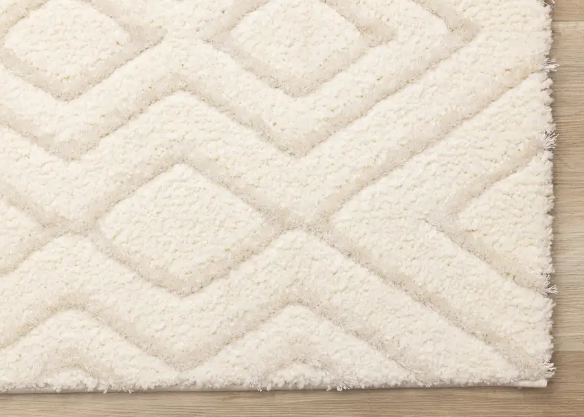 Cream Area Rug Photo 8