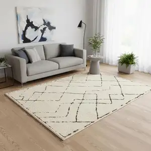 Photo of Cream Area Rug