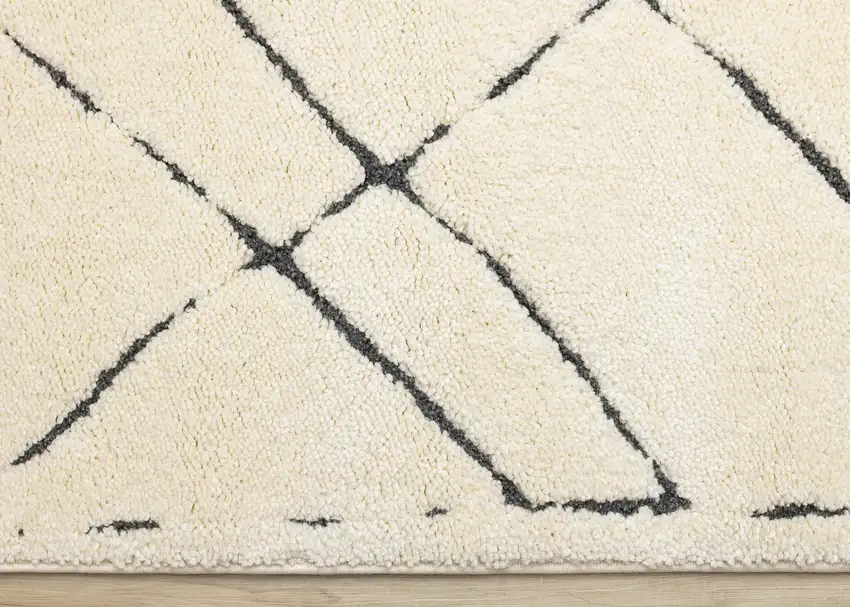 Cream Area Rug Photo 9