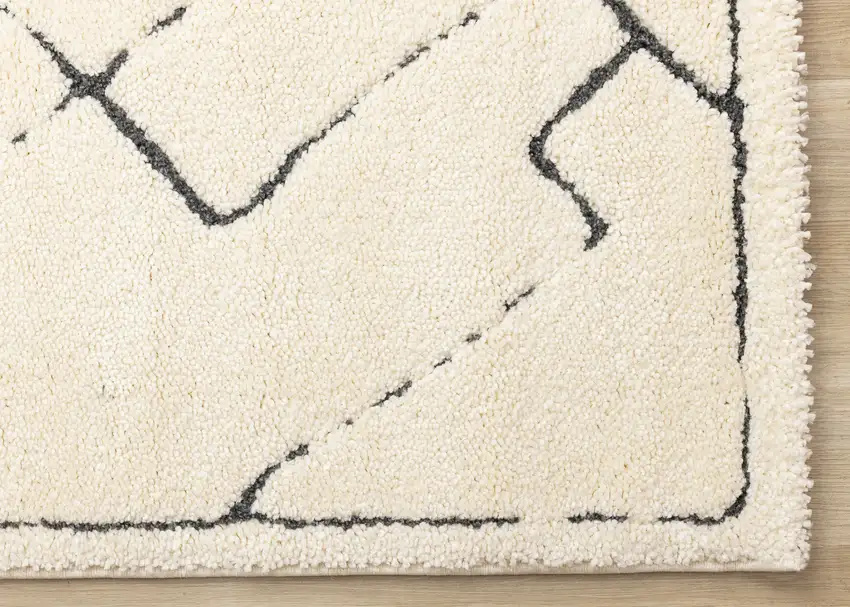 Cream Area Rug Photo 8