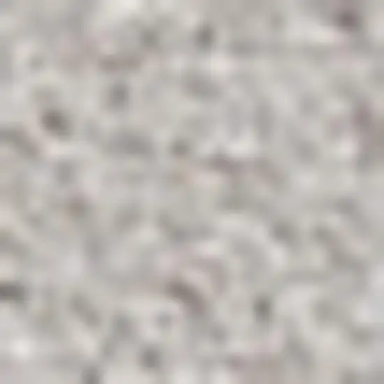 Cream Area Rug Photo 3