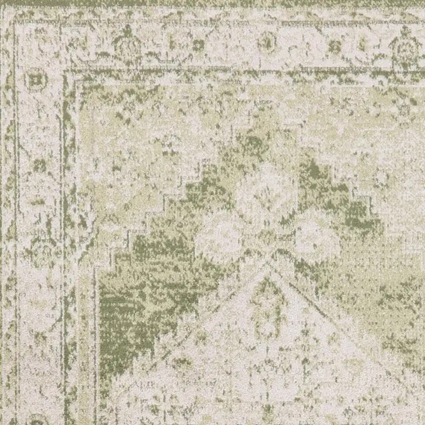 Cream Floral Distressed Area Rug Photo 2