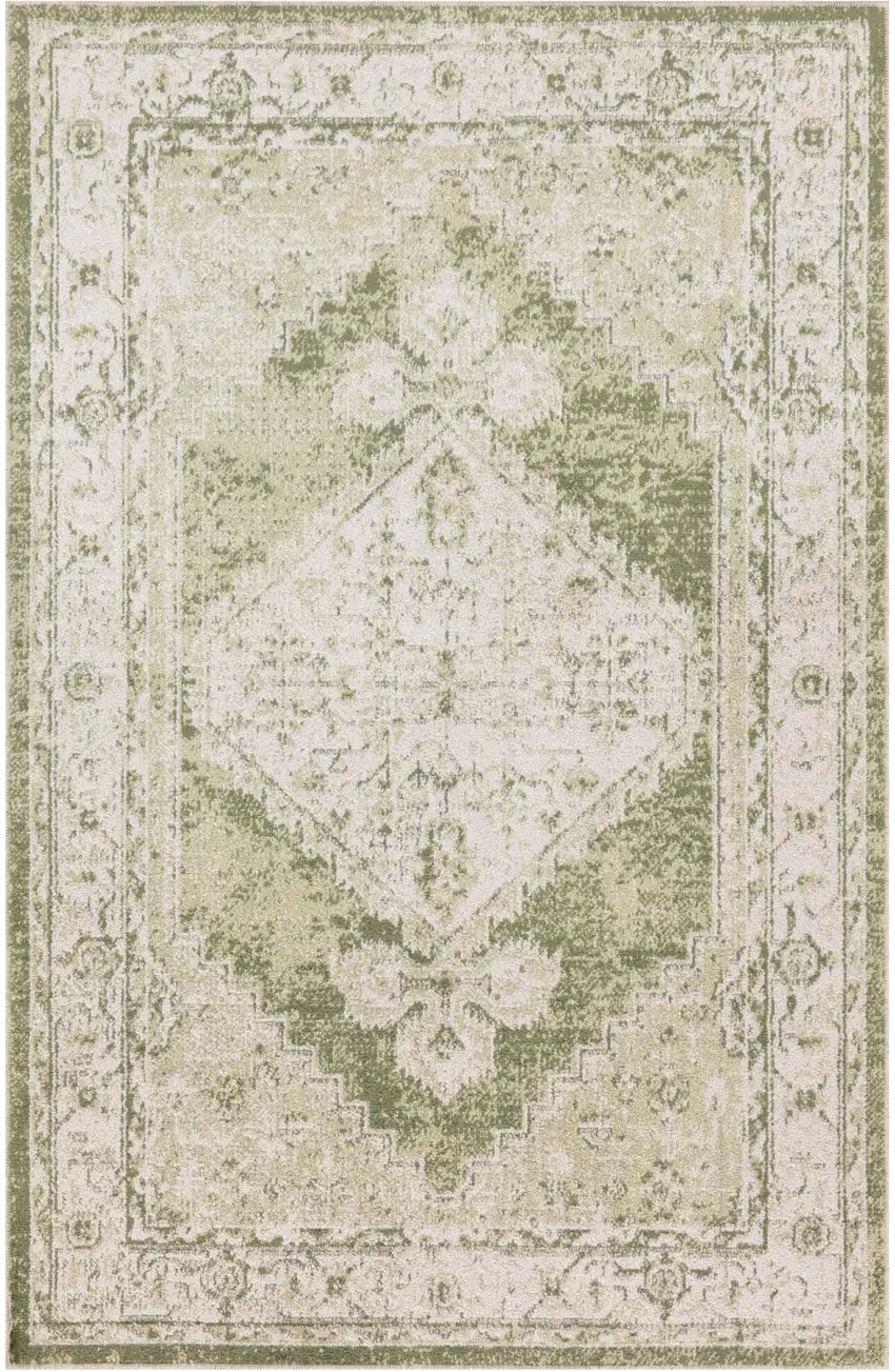 Cream Floral Distressed Area Rug Photo 9