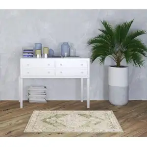Photo of Cream Floral Distressed Area Rug