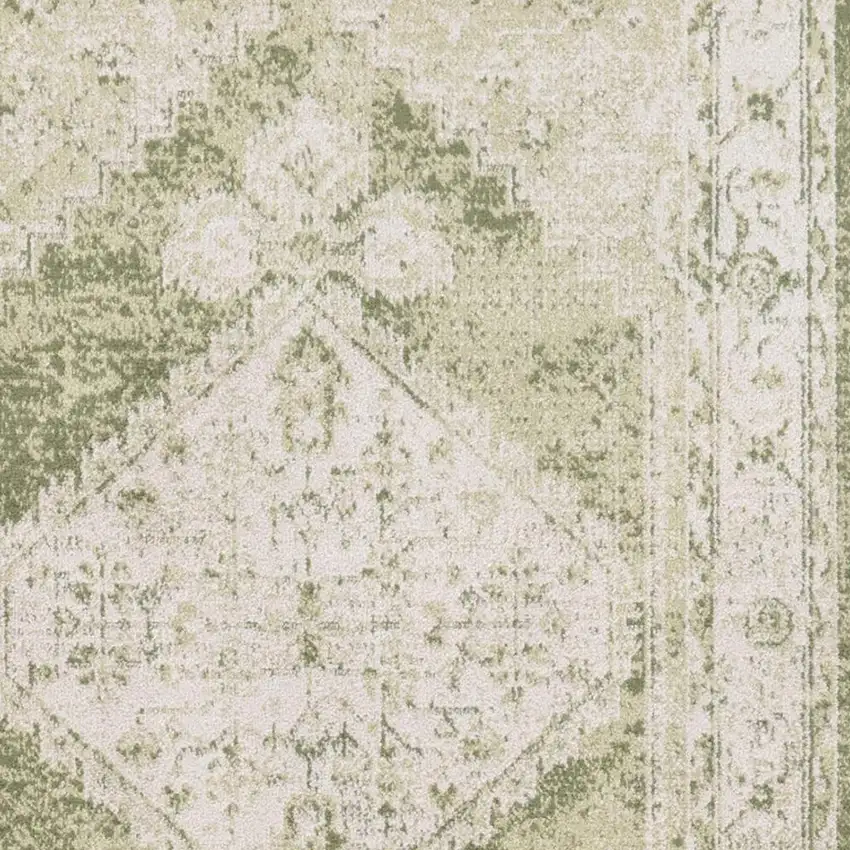 Cream Floral Distressed Area Rug Photo 3
