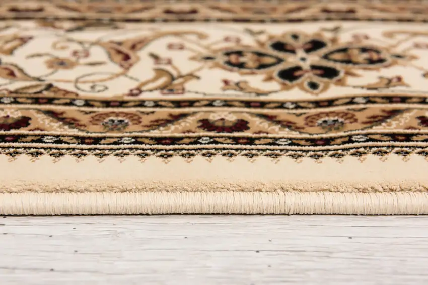 Cream Floral Medallion Area Rug Photo 8