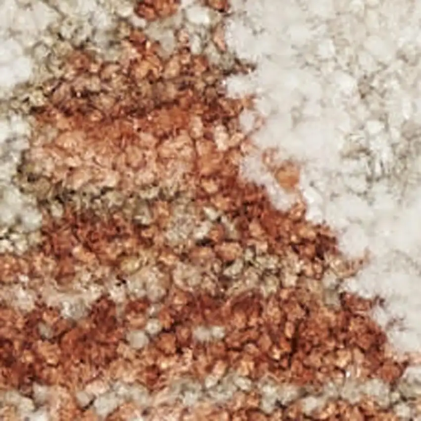 Cream Floral Power Loom Distressed Area Rug With Fringe Photo 5