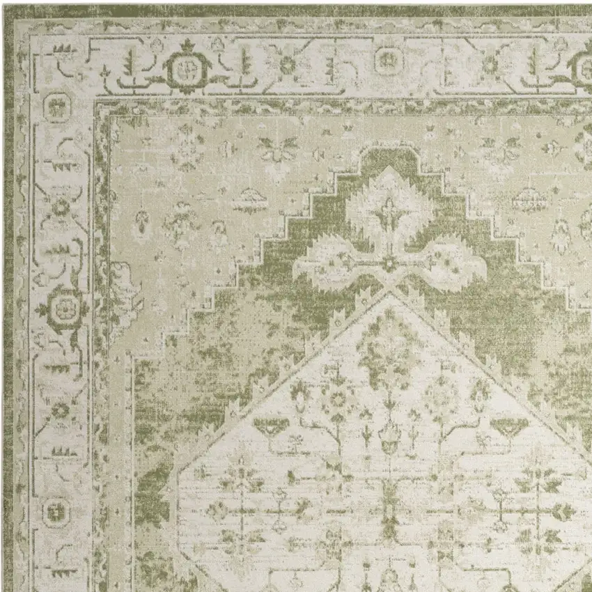 Cream Floral Power Loom Distressed Area Rug Photo 8