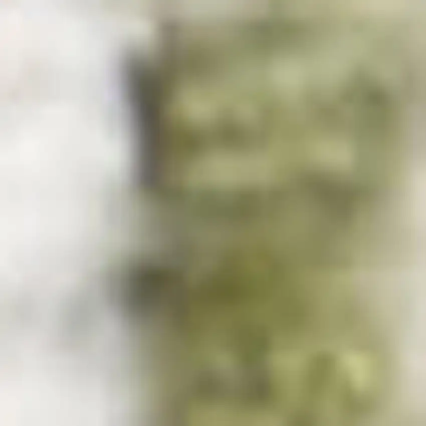 Cream Floral Power Loom Distressed Area Rug Photo 3