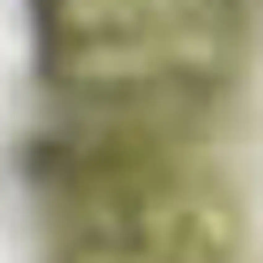 Cream Floral Power Loom Distressed Area Rug Photo 2