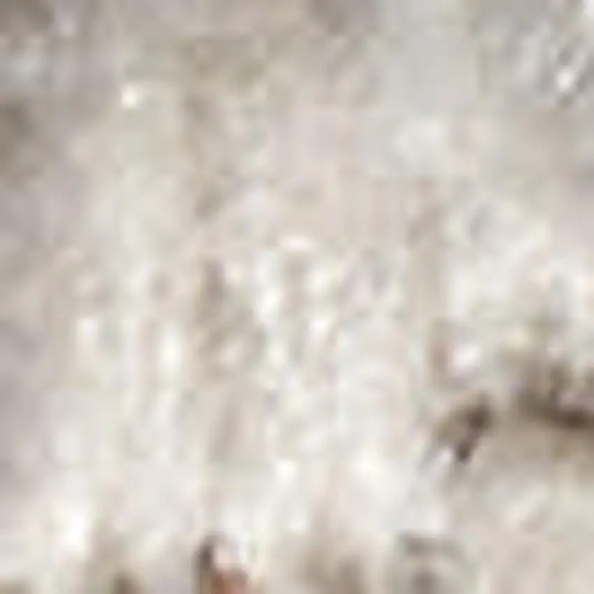 Cream Geometric Area Rug Photo 5