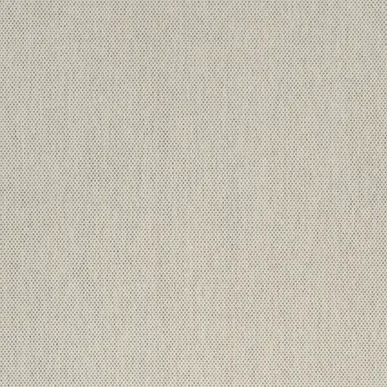 Ivory and Silver Indoor Outdoor Area Rug Photo 6