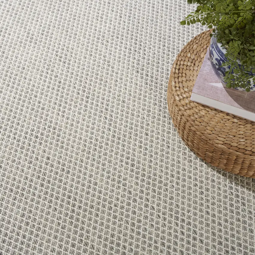 Ivory and Silver Indoor Outdoor Area Rug Photo 8