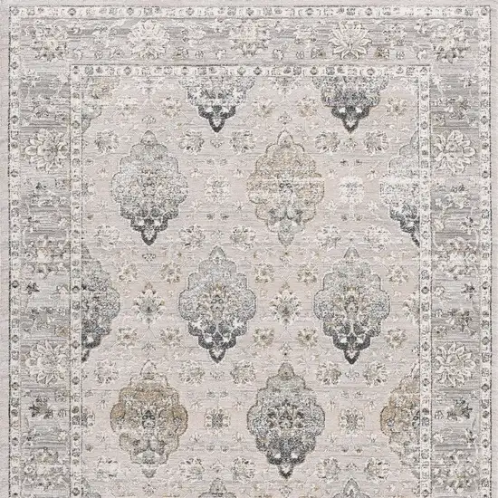 Cream Grey Oriental Area Rug Photo 5