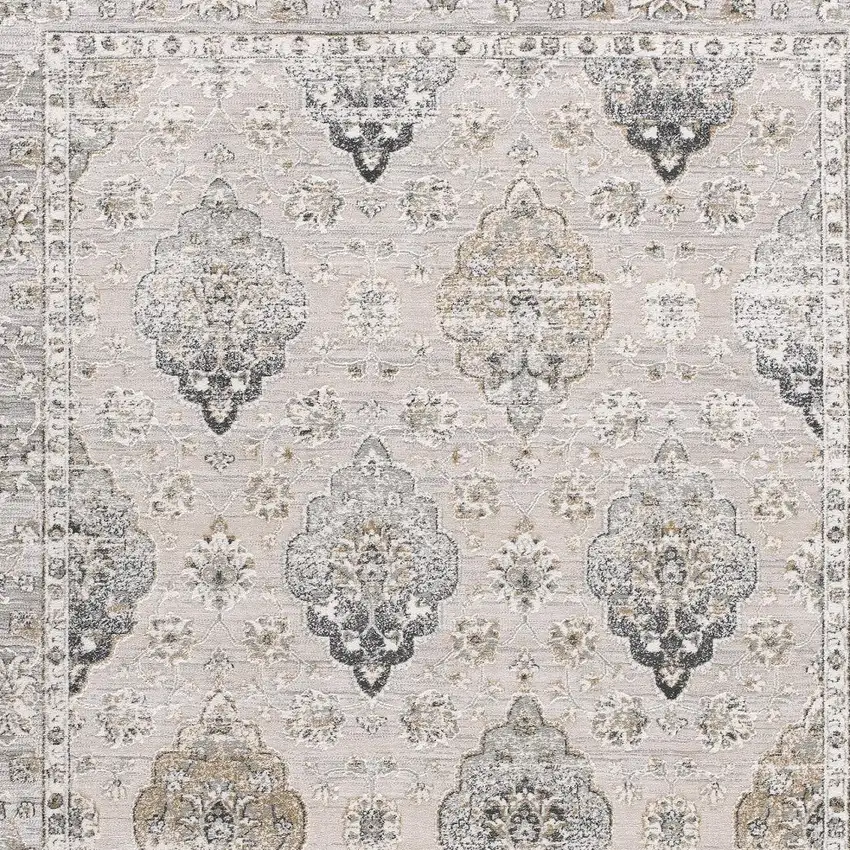 Cream Grey Oriental Area Rug Photo 4