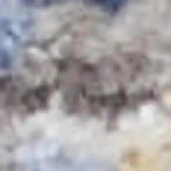 Cream Ivory And Brown Medallion Distressed Area Rug With Fringe Photo 2