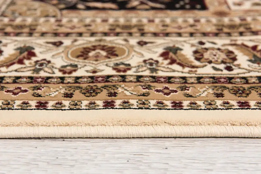 Cream Oriental Area Rug Photo 7