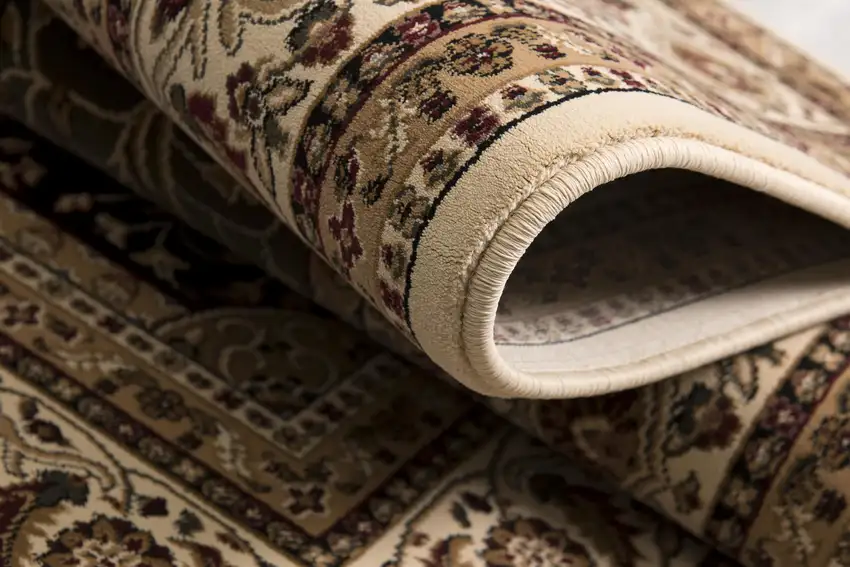 Cream Oriental Area Rug Photo 8