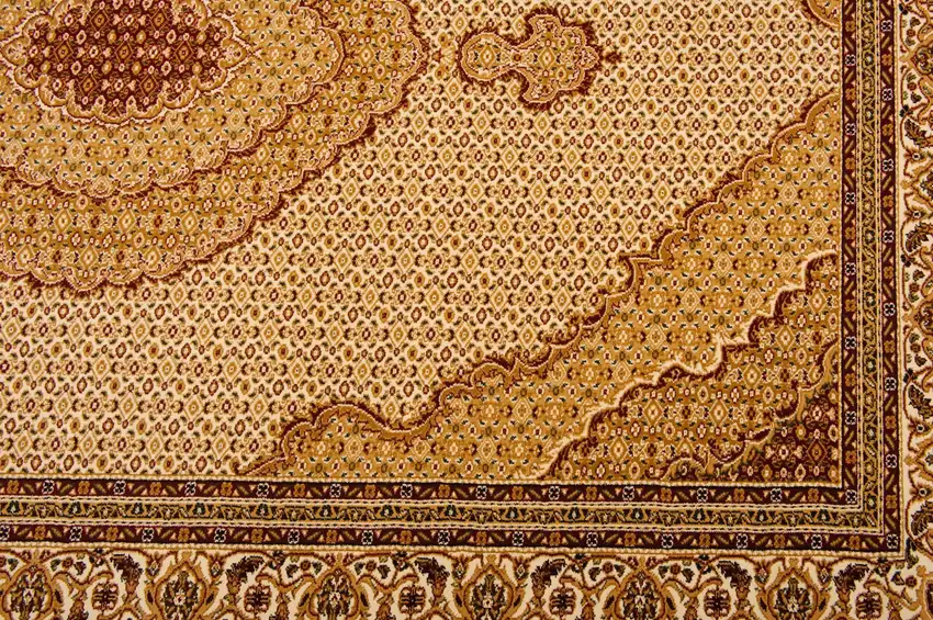 Cream Oriental Power Loom Stain Resistant Area Rug Photo 6
