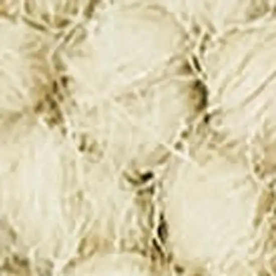 Cream Wool Shag Handmade Area Rug Photo 3